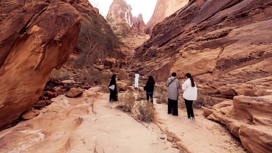Al Ula: Dadan and Jabal Ikmah Tombs Guided Tour - Who this guided tour suits best