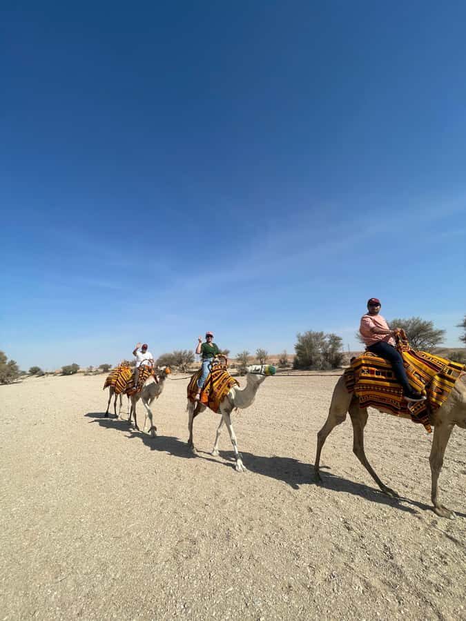 Edge of The World Riyadh,Camel Ride ,Bat Cave Visit & Dinner - Camel ride: short on time, big on the vibe