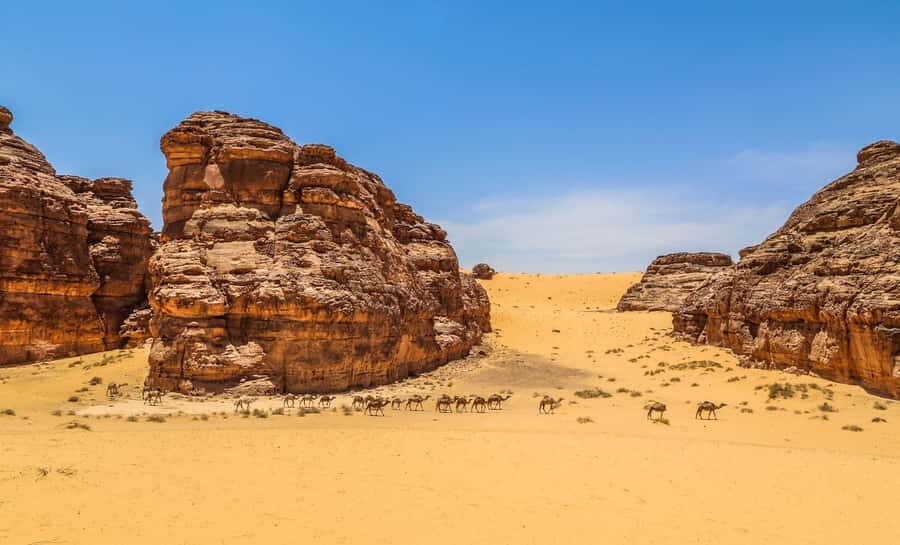 From AlUla: Hegra Tour - Key points to help you choose wisely