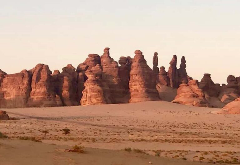 From AlUla: Hegra Tour - 2 Hours, a Bus Loop, and Outside-Only Tomb Viewing
