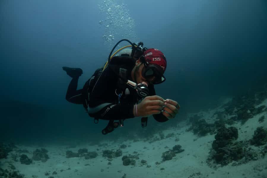 From Jeddah: Boat Trip and Diving for Certified Divers - Equipment, rentals, and what you should pack