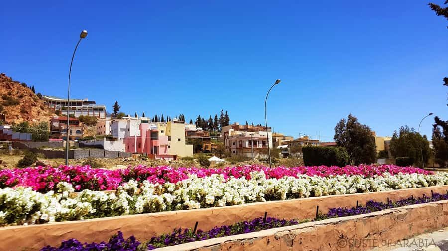 From Jeddah: Taif Day Tour - Jeddah to Taif in one day: what the 8-hour rhythm feels like