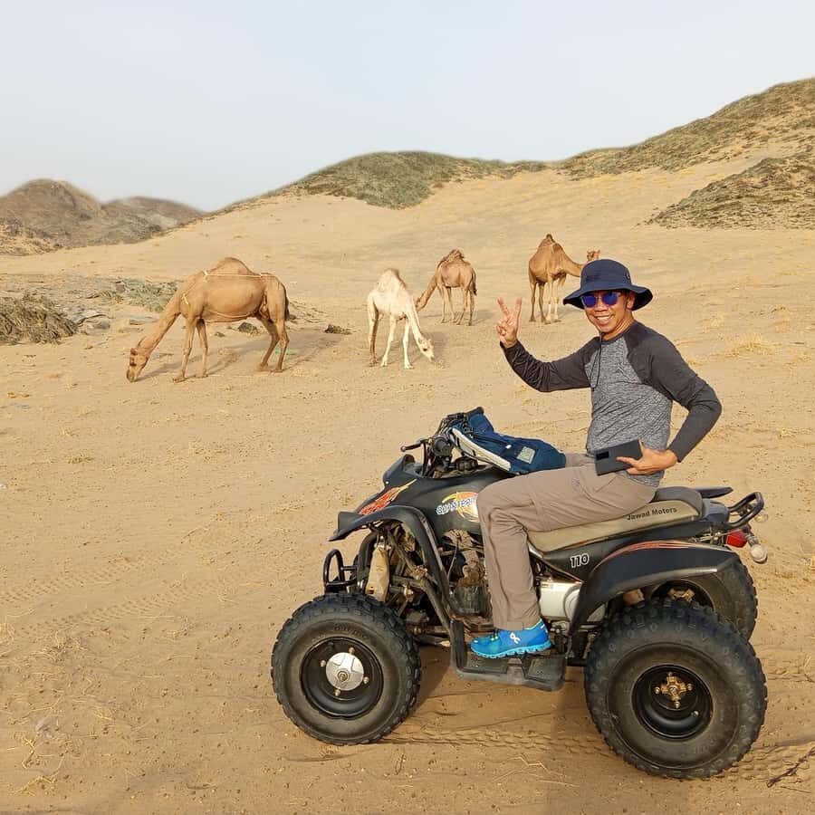 Jeddah Desert Safari: Quad Biking, Camel Farm & Sunset Views - Should You Book This Jeddah Desert Safari With Quad Biking and Camels?