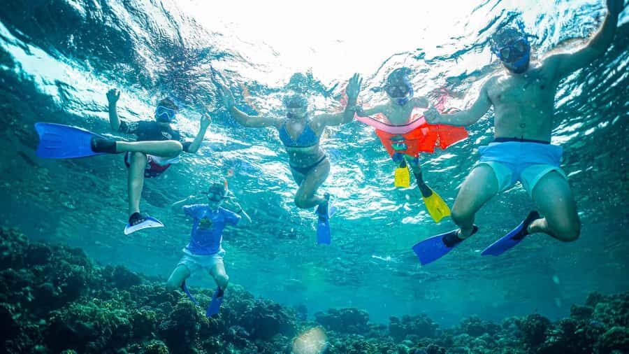 Jeddah: Guided Snorkeling Trip with Snacks and Drinks - Key Things That Make This Tour Worth Your Time