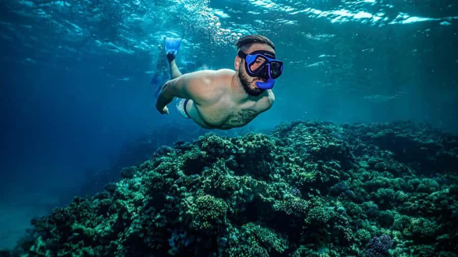 Jeddah: Guided Snorkeling Trip with Snacks and Drinks - Jeddah Red Sea Snorkeling: The Real Point of the Trip