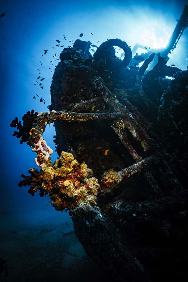 Jeddah: Guided Snorkeling Trip with Snacks and Drinks - Should You Book This Jeddah Snorkeling Trip?