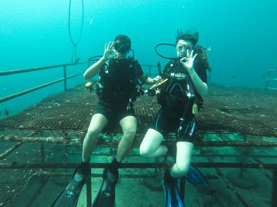 Jeddah: Red sea shore diving (Discovery) - Key highlights to know before you go