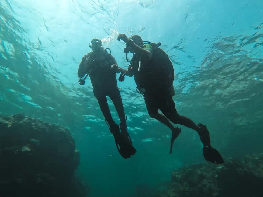 Jeddah: Red sea shore diving (Discovery) - The Blue Reef Underwater Session at Around 20 Meters