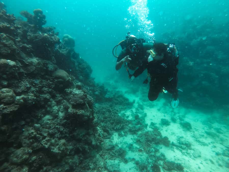 Jeddah: Red sea shore diving (Discovery) - Pre-Water Coaching: Gear, Codes, and Instructor-led Confidence