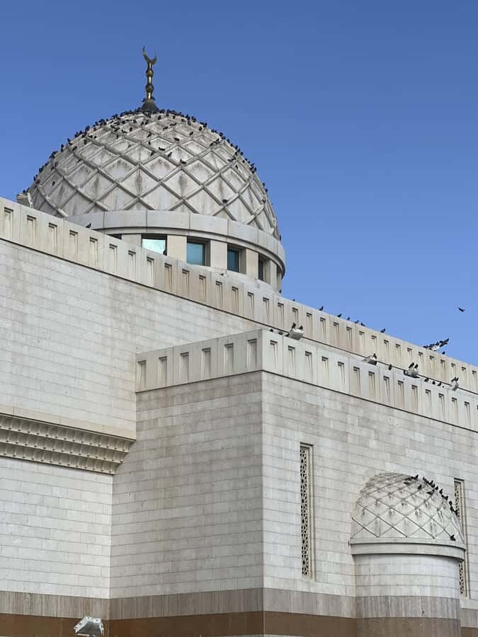 Madinah Culture & History Tour – Led by Local Guide - The farm stop at Al-Mirbad / Reef Al Bustan: tea, sweets, and everyday Medina