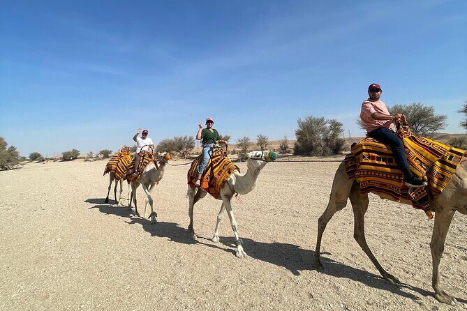 Riyadh City Tour with Camel Riding - Key highlights you’ll feel fast