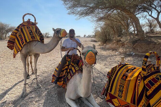 Riyadh City Tour with Camel Riding - Sadus Camel Riding: Short Time, Big Buzz
