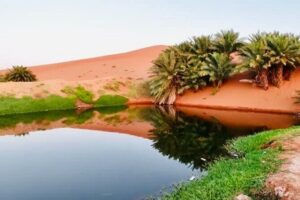 Riyadh City Tour with Camel Riding - The Secret Lake Oasis Moment: Two Hours to Slow Down