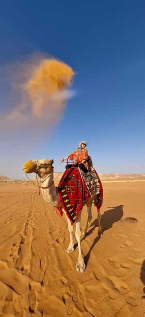 Riyadh: Desert Sand Dunes (VIT-Qude bike + Camel Ride) - Riyadh to the dunes: the comfort factor that makes this easier