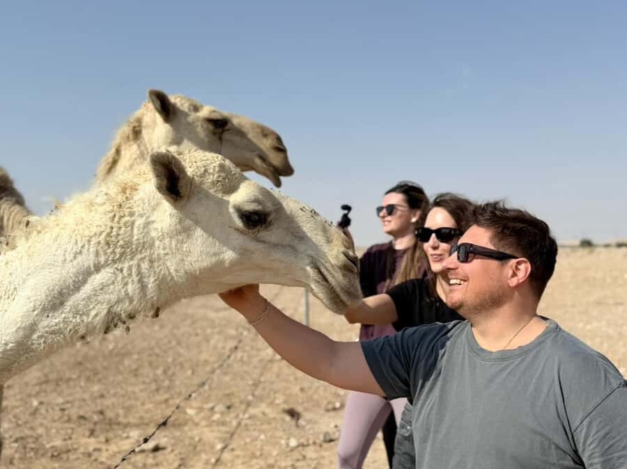 Riyadh: Edge Of The World, camels &Stargazing with 4x4 - Should you book the Edge of the World 4x4 + stargazing tour?