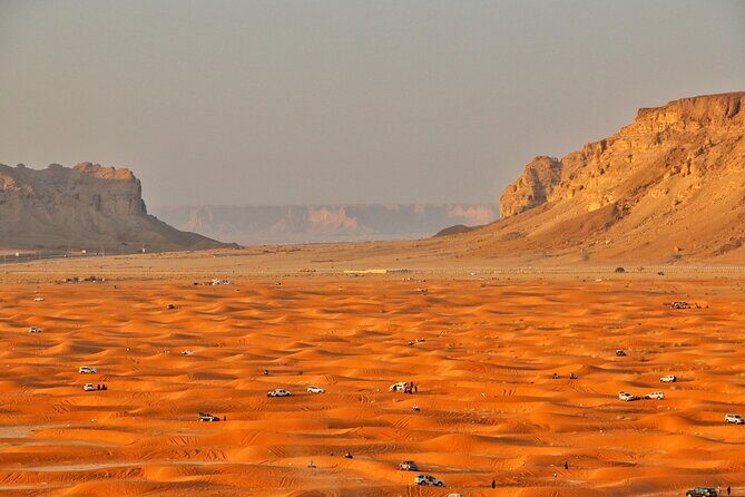 Riyadh Quad Biking Tour with Camel Ride - Who This Tour Suits Best