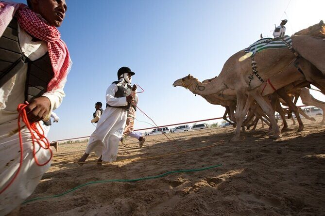 Riyadh Red Sand Dunes 4x4 (Camel Ride, Quad biking, Old Palace) - Should You Book This Tour or Plan It Yourself?