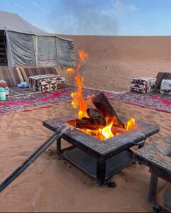 Riyadh: Red Sand Dunes (Safari trip) - From the entrance to the camel farm: starting with real desert life
